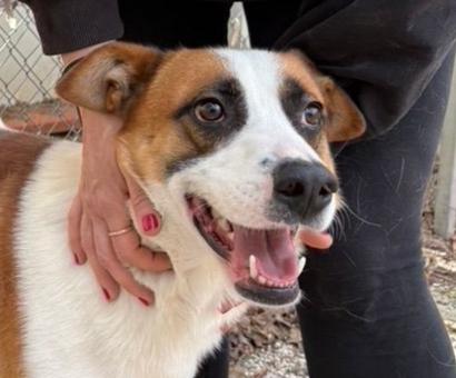 Miche: 2 Anni, Socievole E Affettuoso 
