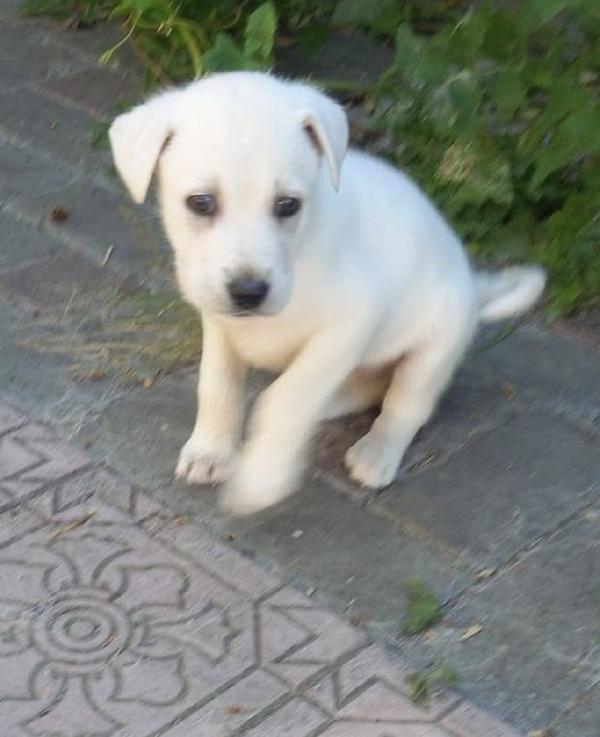 Kora una nuvoletta bianca Foto 2