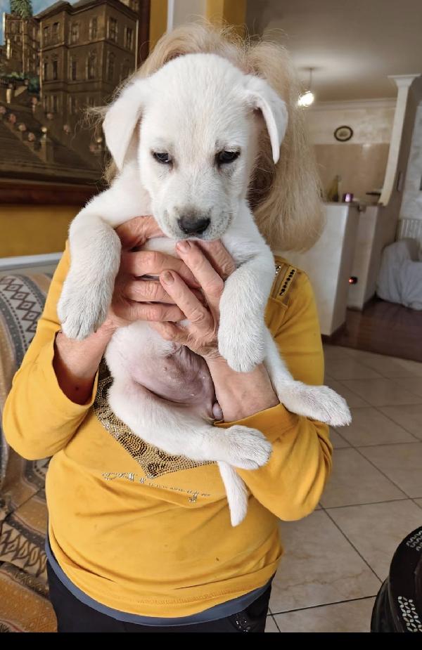 Kora una nuvoletta bianca Foto 3