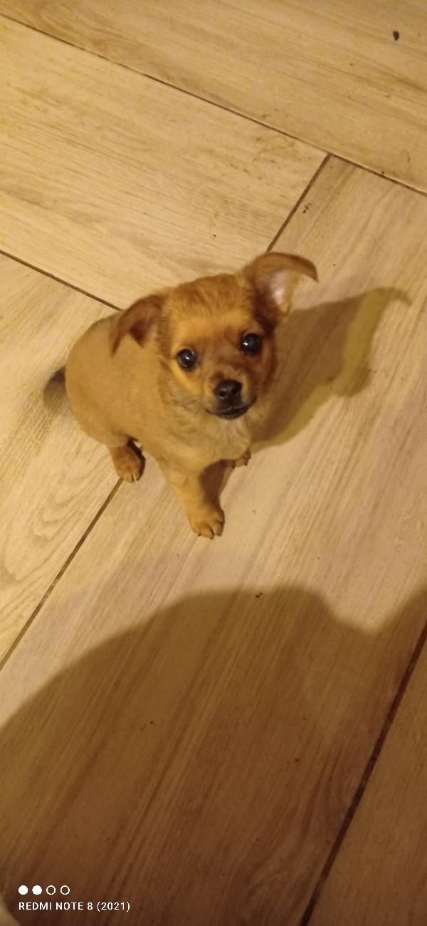 Dalila Foto 2