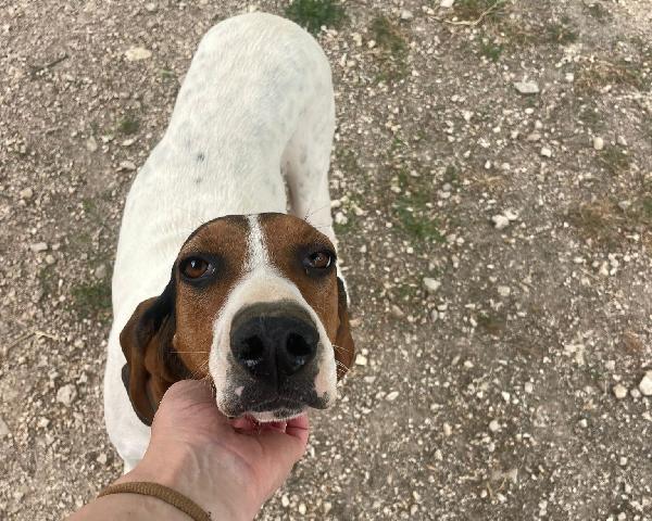 Penelope