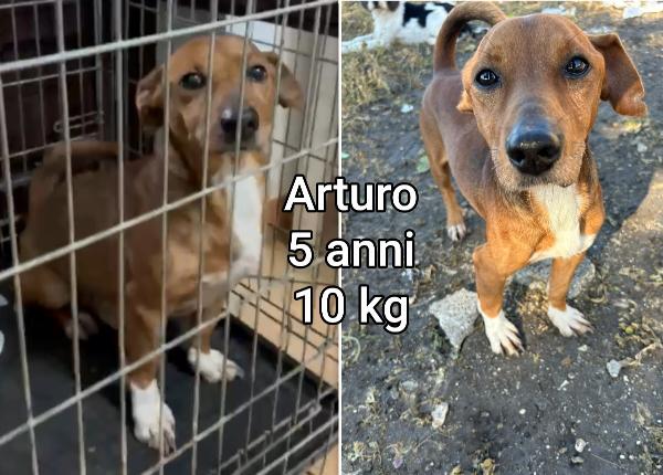TAGLIE PICCOLE & CONTENUTE Foto 4