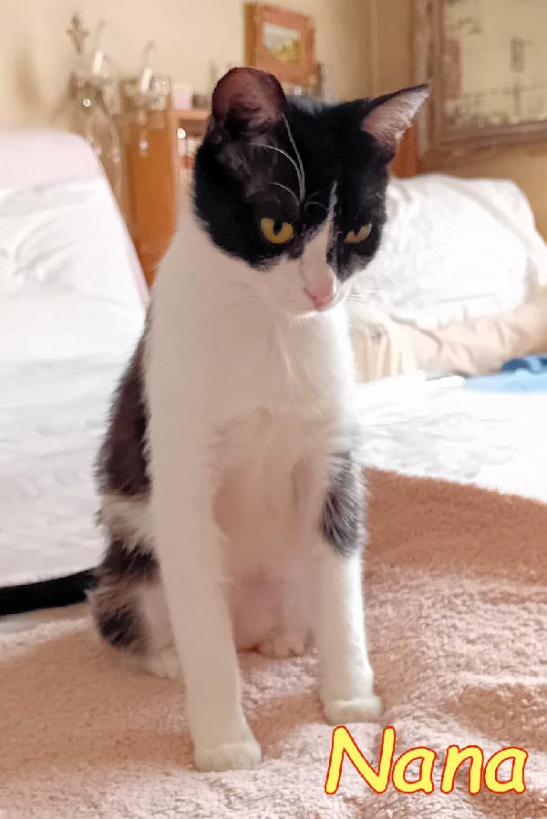 Nana'15mesi aspetta ancora casa.ROMA Foto 4