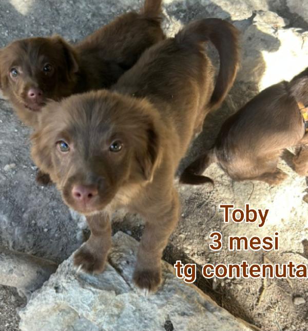 Invisibili cuccioli: 2 mesi  Foto 5