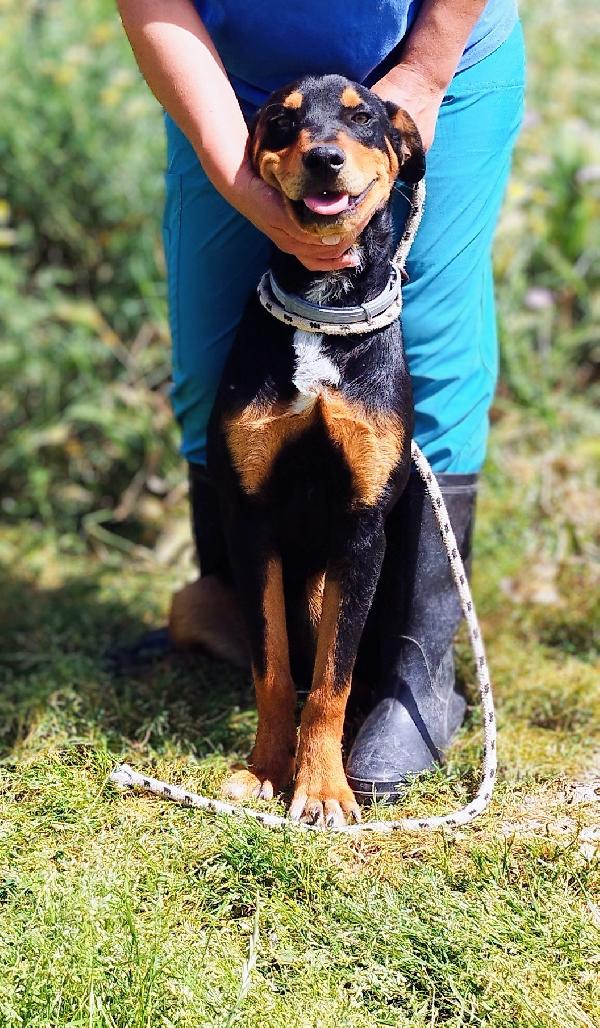 Henry Solo 7 Mesi