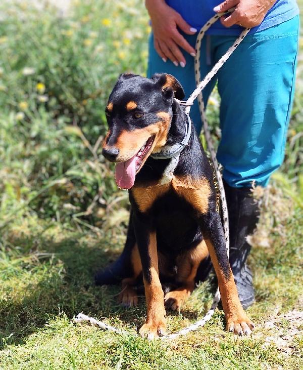 Henry solo 7 mesi Foto 2