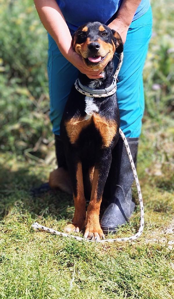 Henry solo 7 mesi Foto 3