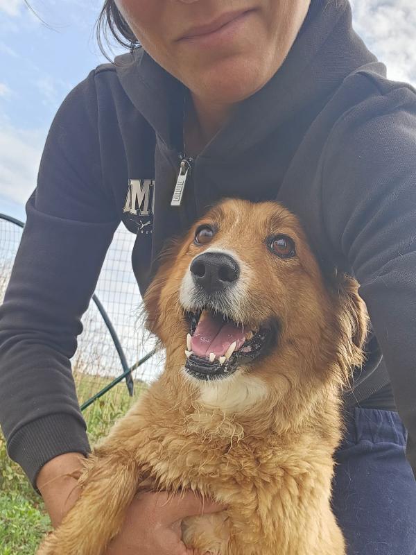 Stefi Meravigliosa Giovane Mammina Cerca Casa 
