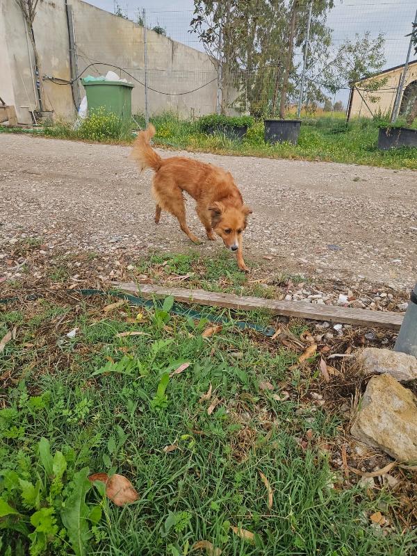 Stefi meravigliosa giovane mammina cerca casa  Foto 3