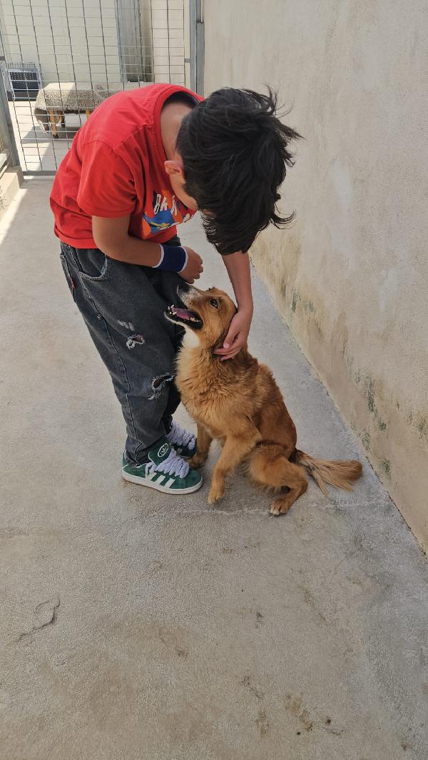 Stefi meravigliosa giovane mammina cerca casa  Foto 5