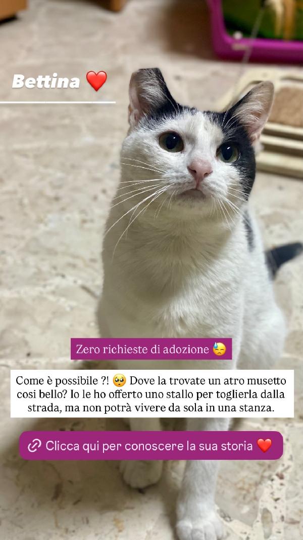 Bettina