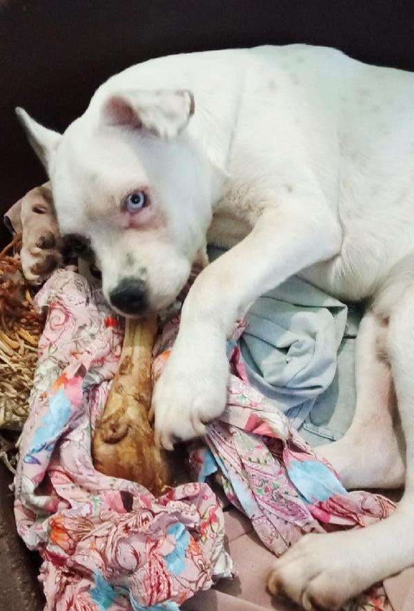 UNA MAMMA PER ICE Foto 3