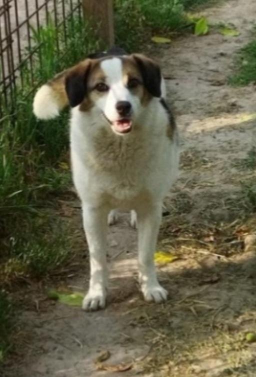 Ambra Adulta Salita 4Anni Fa E Rifiutata.bologna