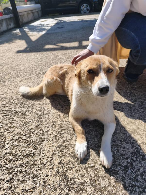 Libera... Solo Di Nome 