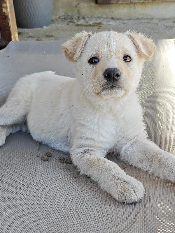 Betty Cucciola Di 3 Mesi