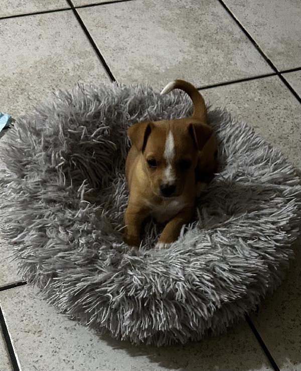 NALA cerca felicità Foto 2