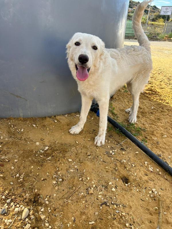 Rey: da quasi 2 anni rinchiuso  Foto 3