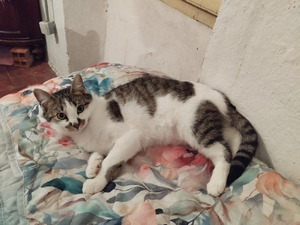 MIRTA Foto 3