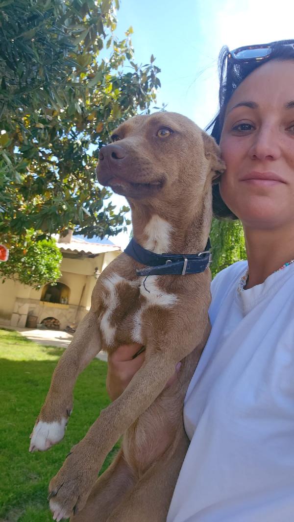 Pandora: cucciolotta taglia piccola socievole  Foto 6