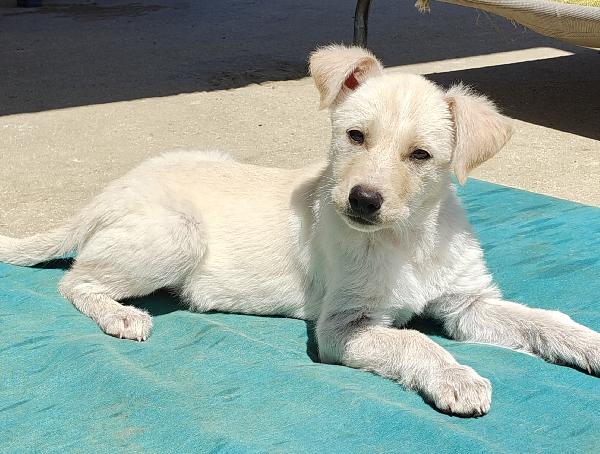 Betty Foto 2