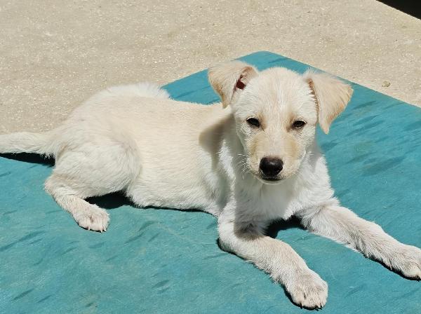Betty Foto 4