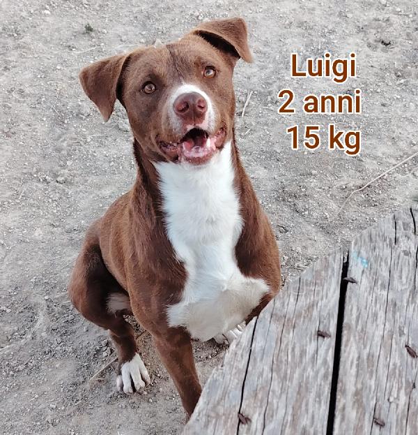 CAGNOLINI PICCOLI & CONTENUTI  Foto 5