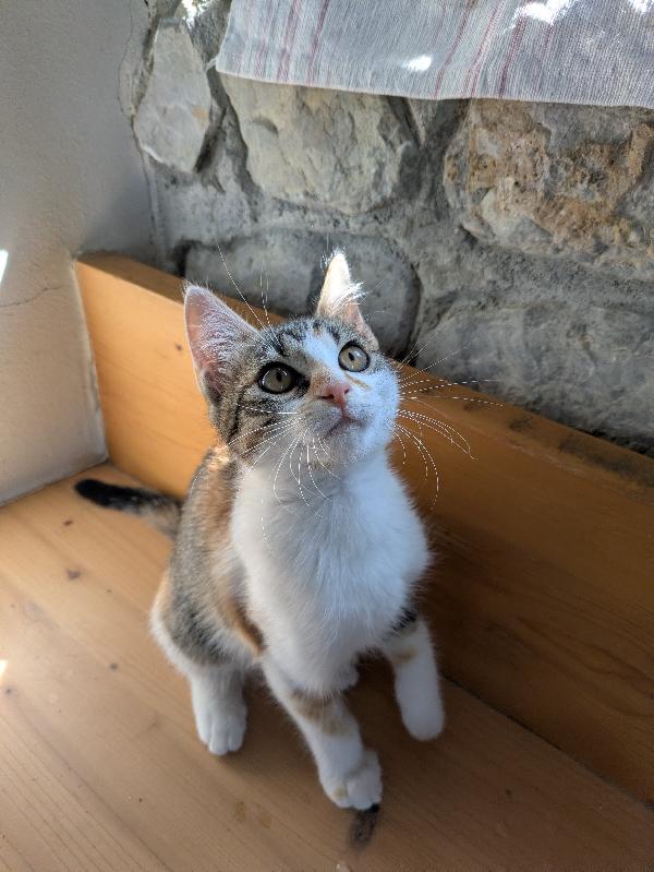 Le sorelline Pica e Tina Foto 3