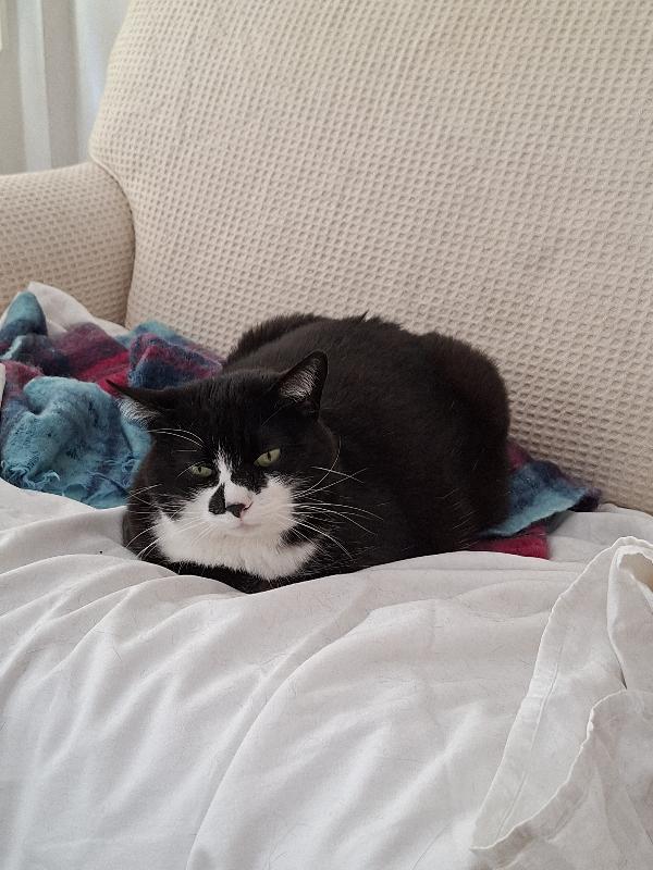 Minin Foto 2