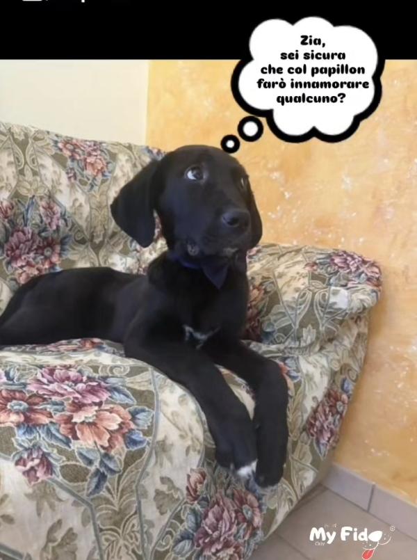 Tyson Non È Nato Per Scelta Sua