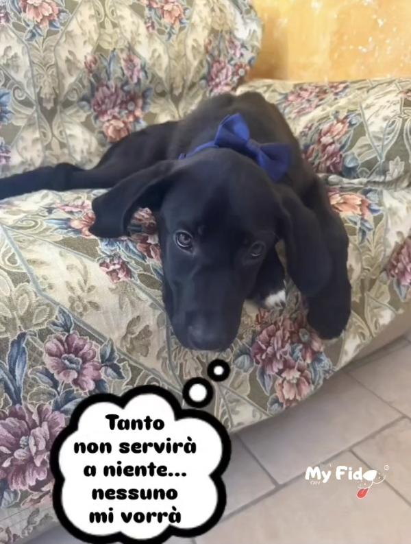 TYSON NON È NATO PER SCELTA SUA Foto 5