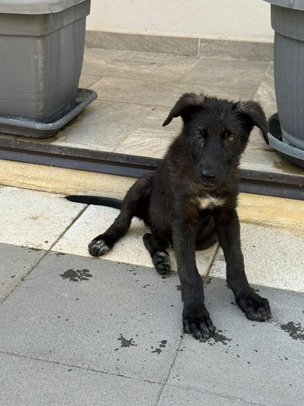 Bianca&Nero 🤍🖤 Foto 3