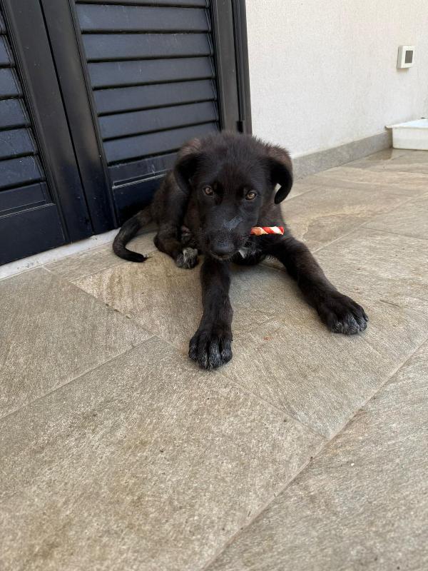 Bianca&Nero 🤍🖤 Foto 4