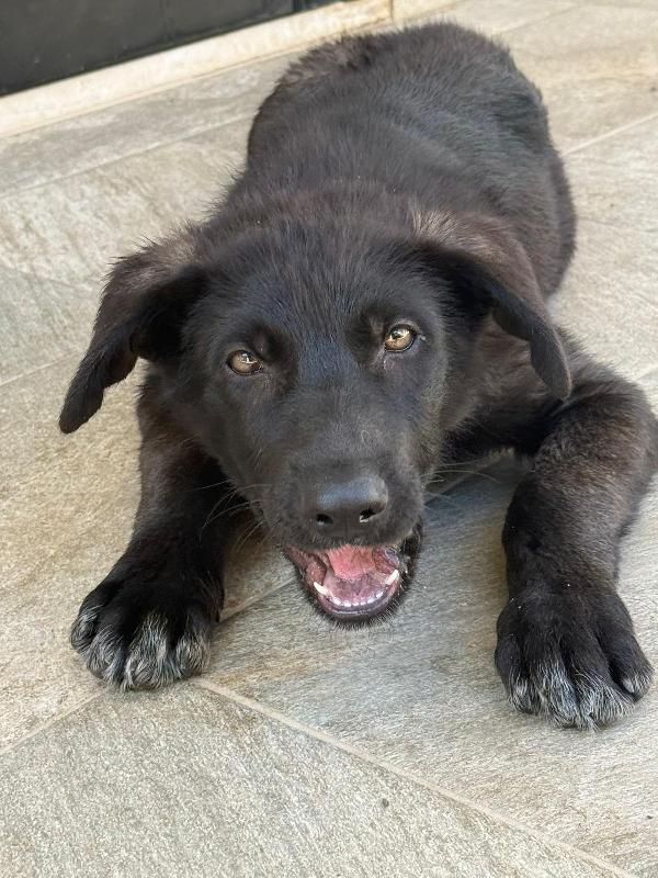 Bianca&Nero 🤍🖤 Foto 5