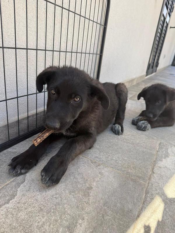 Bianca&Nero 🤍🖤 Foto 7