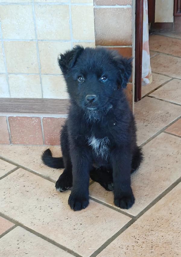 Danny  💙 Foto 3