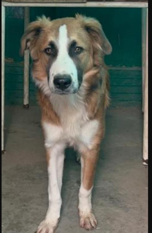 Tobia quasi 3anni nessuno lo ha mai notato! SICILIA Foto 2