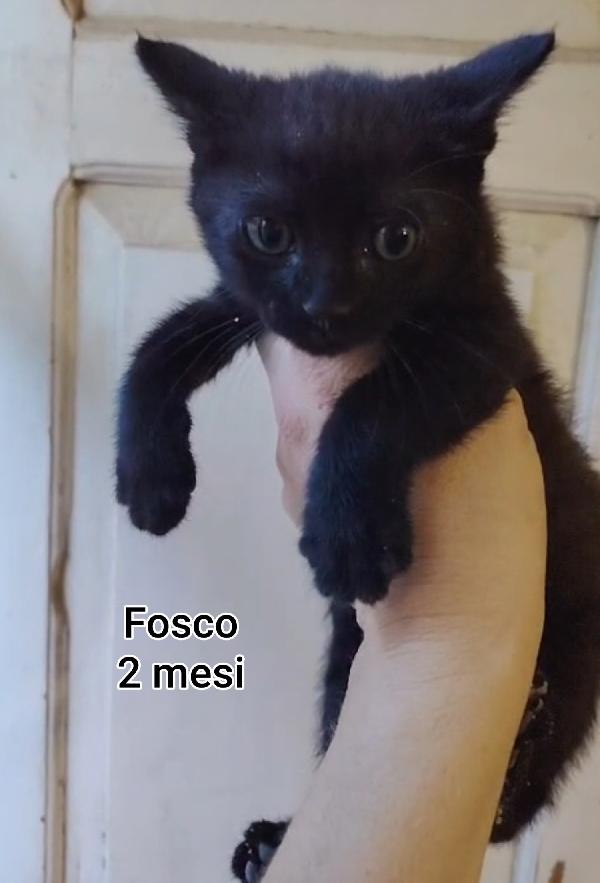 TANTI MICINI SOLI Foto 6