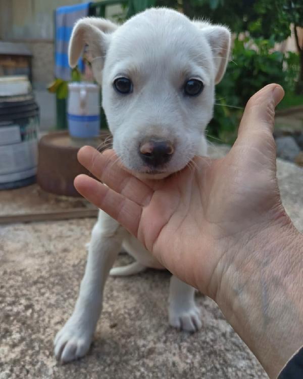 Una Mamma Per Chicca