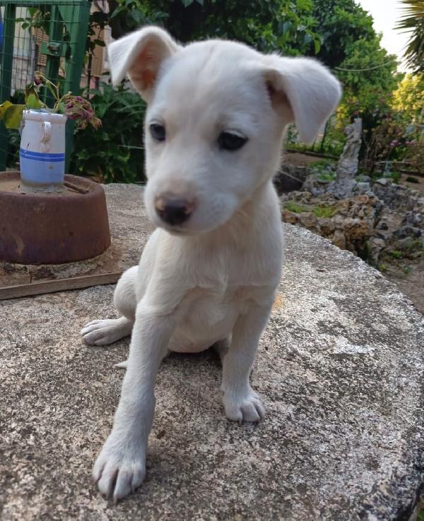 UNA MAMMA PER CHICCA Foto 2