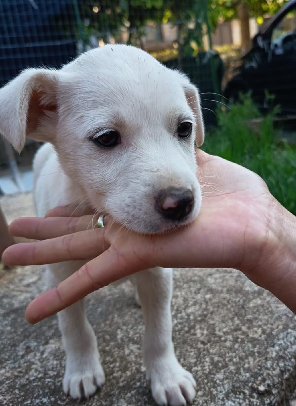 UNA MAMMA PER CHICCA Foto 3