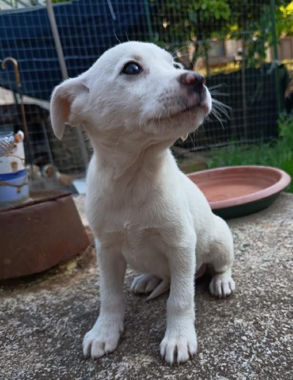 UNA MAMMA PER CHICCA Foto 5