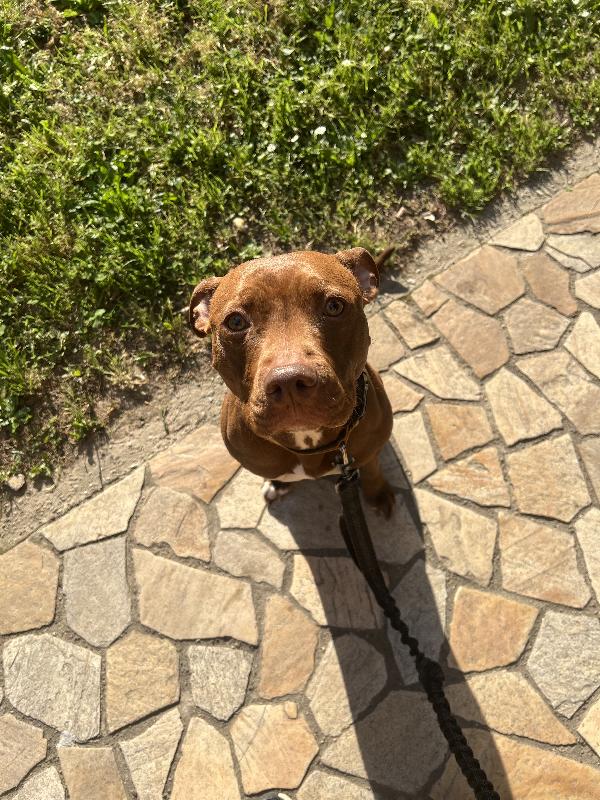Layla Foto 2