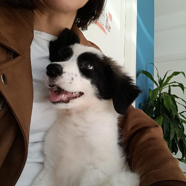 Zoe Foto 3