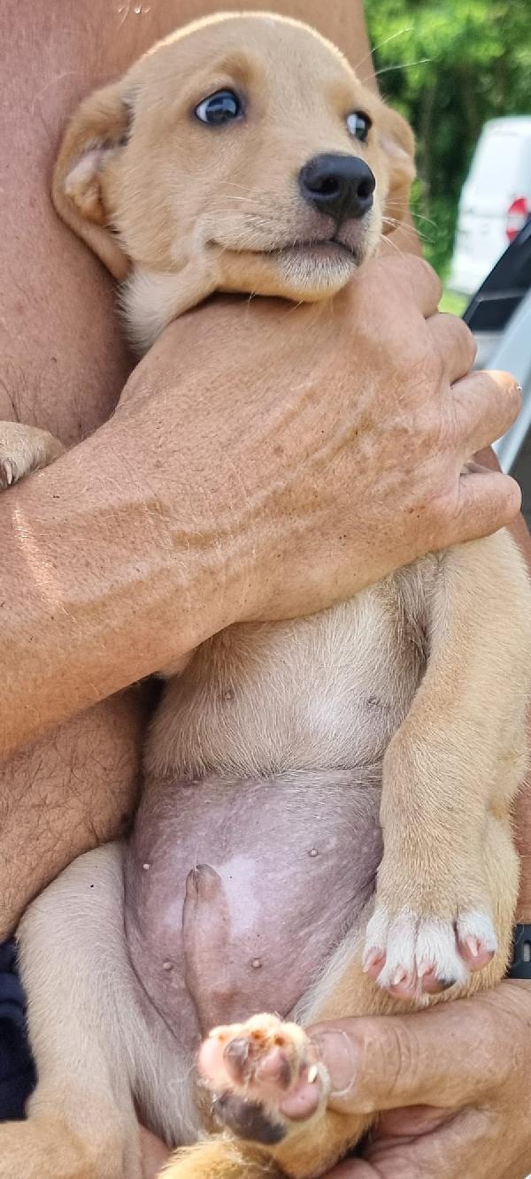 Budino 🍀💎 Foto 4