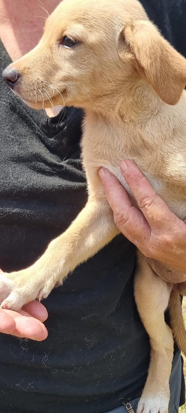 Budino💖🌹 Foto 2