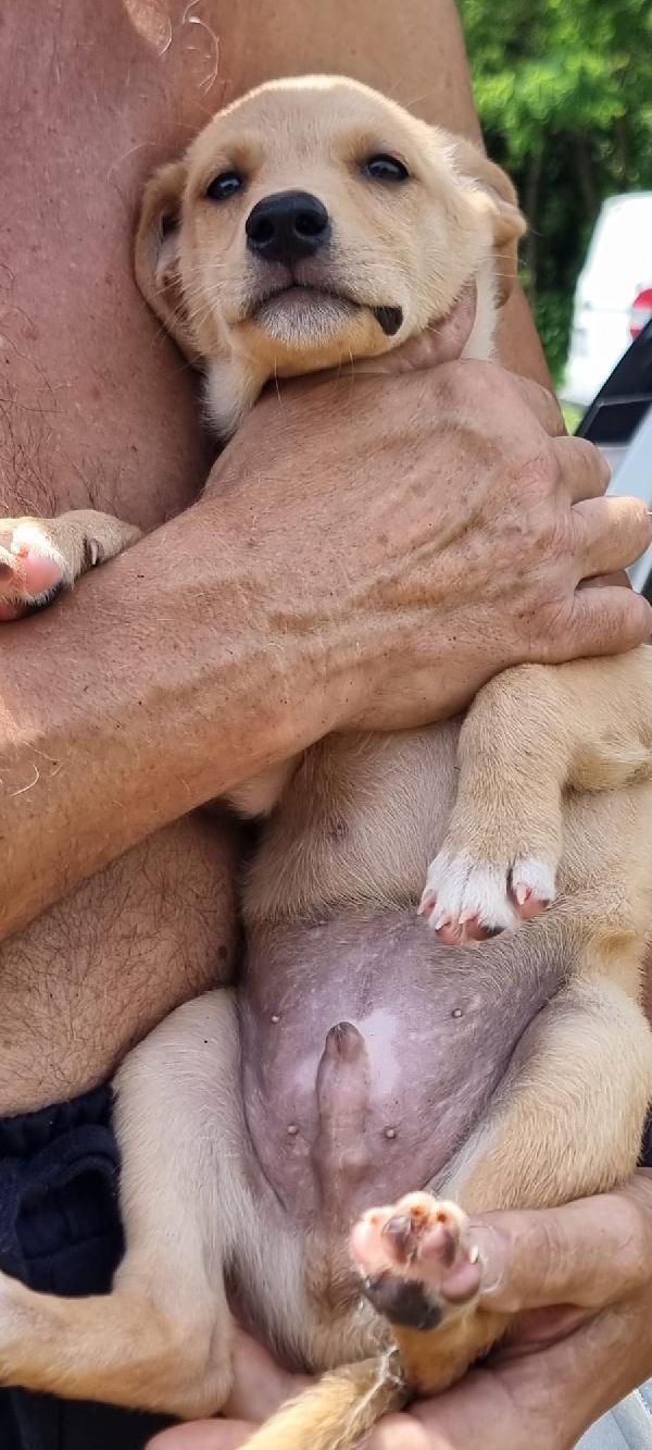 Budino💖🌹 Foto 5