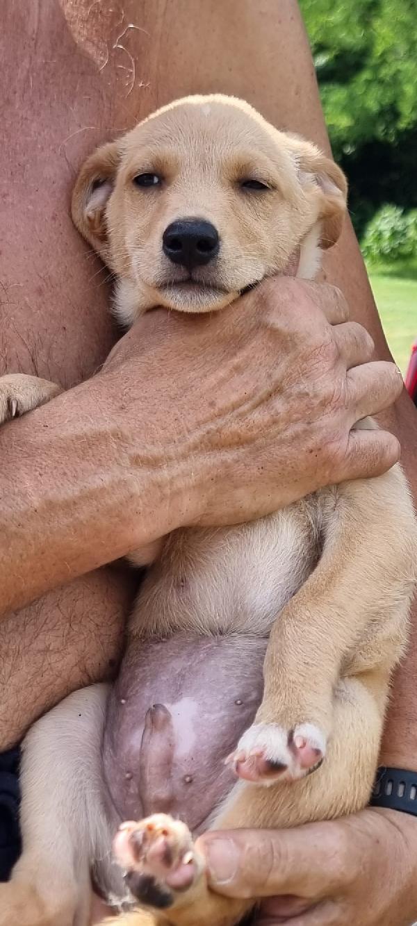 Budino💖🌹 Foto 6