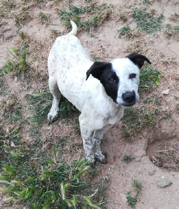 Una Mamma Per Pepa