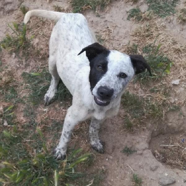 UNA MAMMA PER PEPA Foto 2