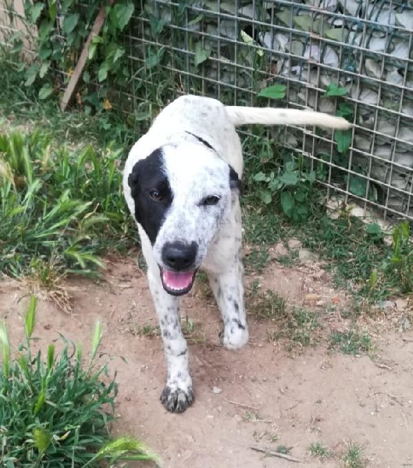UNA MAMMA PER PEPA Foto 3